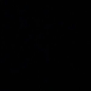 Meet your Posher, Jamileth